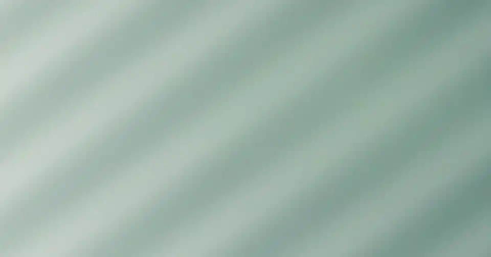 비브리오패혈증 초기증상 체크 이미지